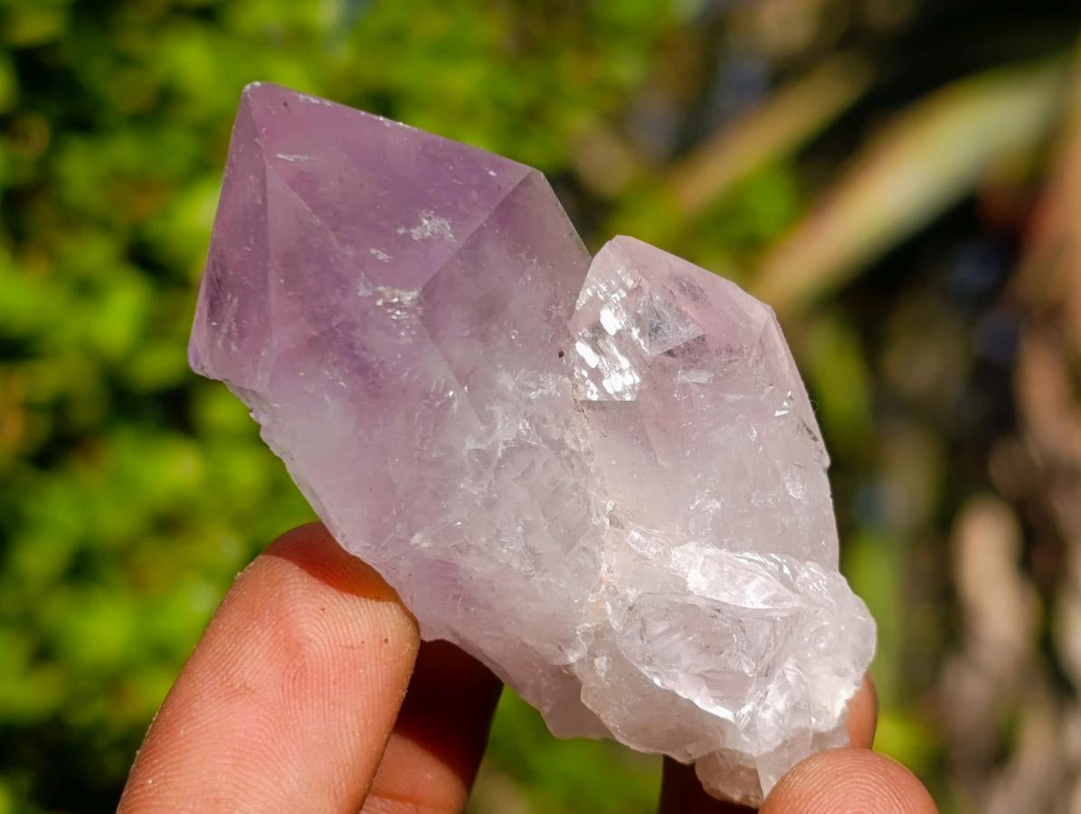 Natural Jacaranda Amethyst Single Crystals x 24 From Mumbwa, Zambia