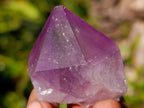 Natural Jacaranda Amethyst Single Crystals x 24 From Mumbwa, Zambia - Toprock Gemstones and Minerals 