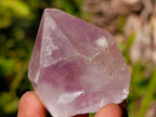 Natural Jacaranda Amethyst Single Crystals x 24 From Mumbwa, Zambia - Toprock Gemstones and Minerals 