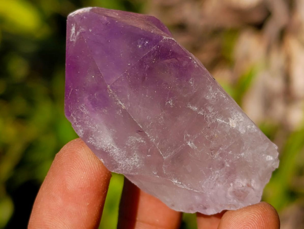 Natural Jacaranda Amethyst Single Crystals x 24 From Mumbwa, Zambia - Toprock Gemstones and Minerals 