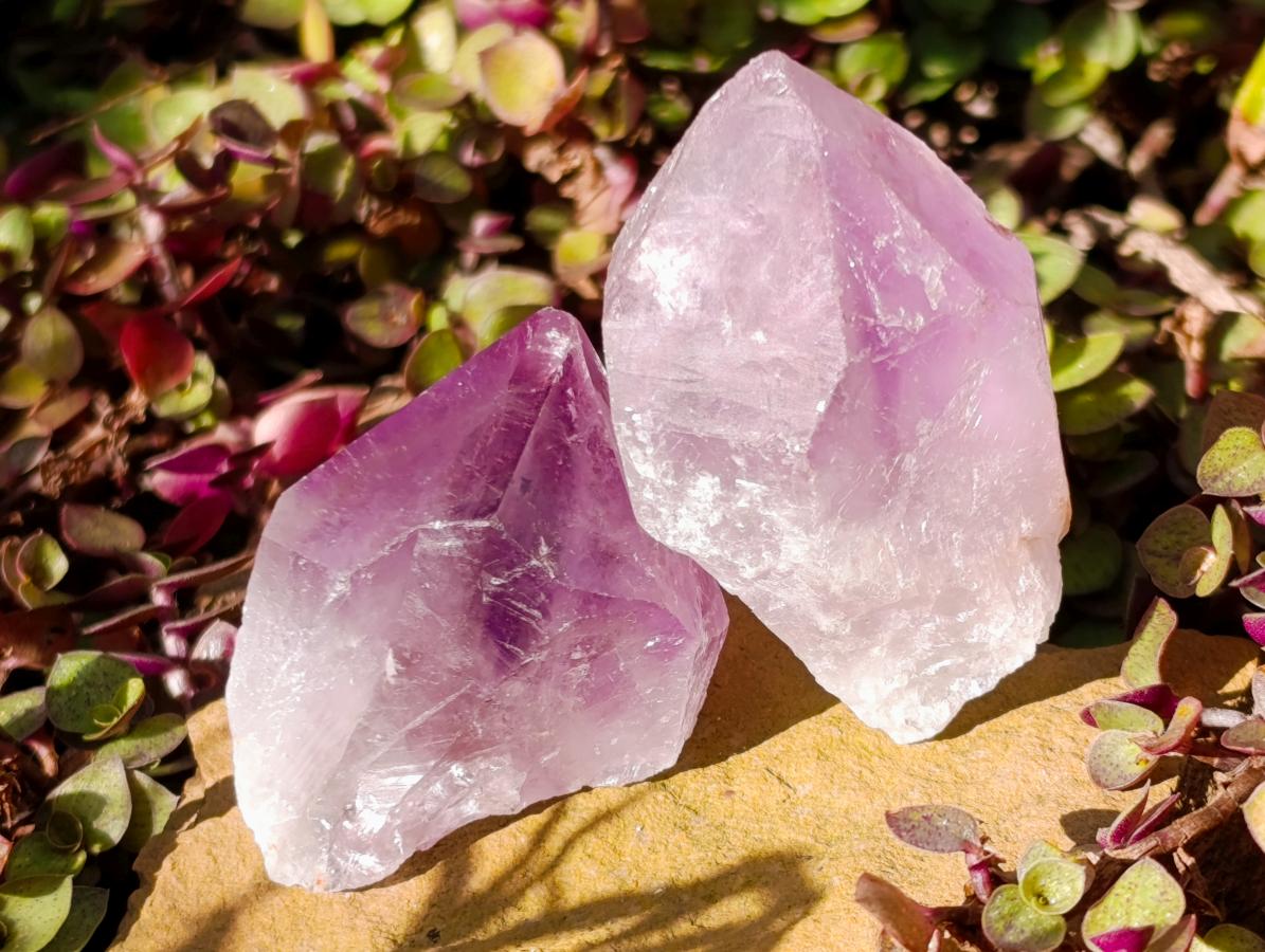 Natural Jacaranda Amethyst Single Crystals x 24 From Mumbwa, Zambia - Toprock Gemstones and Minerals 
