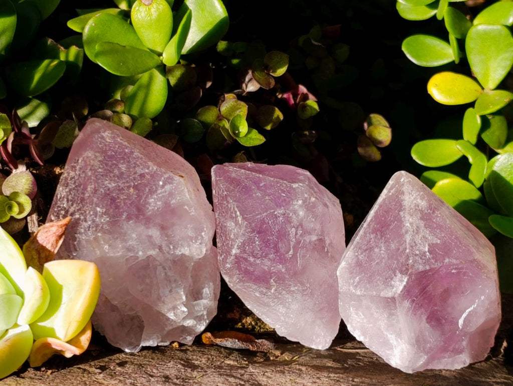 Natural Jacaranda Amethyst Single Crystals x 24 From Mumbwa, Zambia - Toprock Gemstones and Minerals 