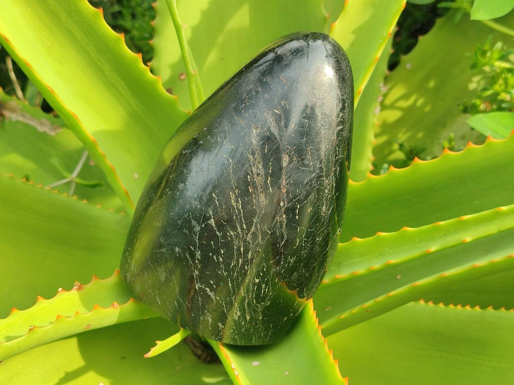 Polished Large Black Tourmaline Standing Display Piece x 1 From Madagascar - Toprock Gemstones and Minerals 