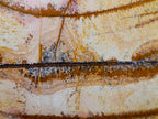 Polished Large Picture Stone Jasper Standing Display Piece x 1 From Ais-Ais, Namibia - Toprock Gemstones and Minerals 