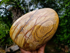 Polished Large Picture Stone Jasper Standing Display Piece x 1 From Ais-Ais, Namibia - Toprock Gemstones and Minerals 