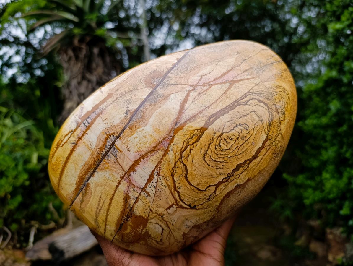 Polished Large Picture Stone Jasper Standing Display Piece x 1 From Ais-Ais, Namibia