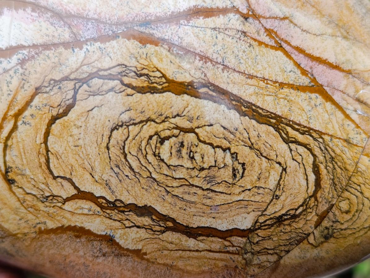 Polished Large Picture Stone Jasper Standing Display Piece x 1 From Ais-Ais, Namibia - Toprock Gemstones and Minerals 