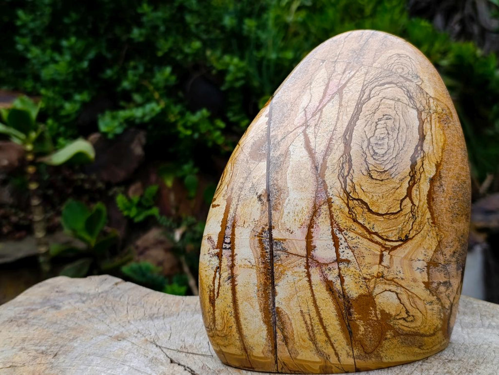 Polished Large Picture Stone Jasper Standing Display Piece x 1 From Ais-Ais, Namibia - Toprock Gemstones and Minerals 