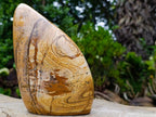 Polished Large Picture Stone Jasper Standing Display Piece x 1 From Ais-Ais, Namibia - Toprock Gemstones and Minerals 