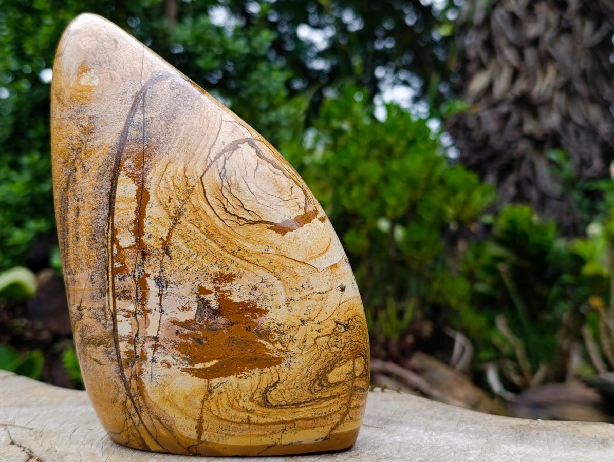 Polished Large Picture Stone Jasper Standing Display Piece x 1 From Ais-Ais, Namibia - Toprock Gemstones and Minerals 