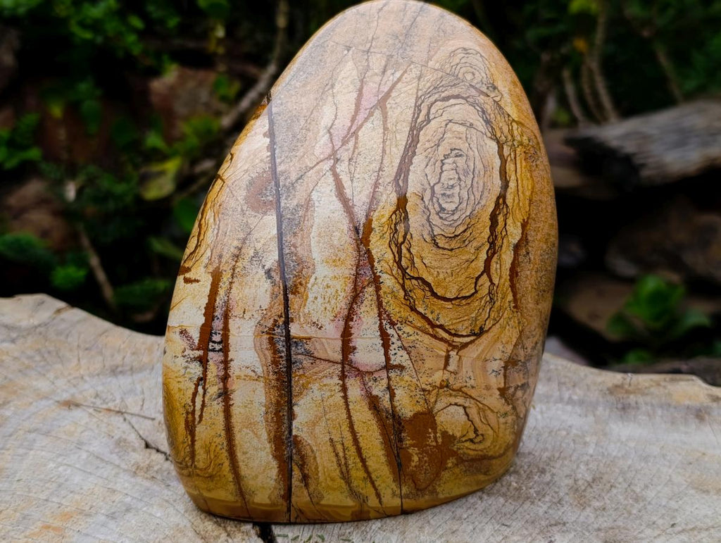 Polished Large Picture Stone Jasper Standing Display Piece x 1 From Ais-Ais, Namibia - Toprock Gemstones and Minerals 