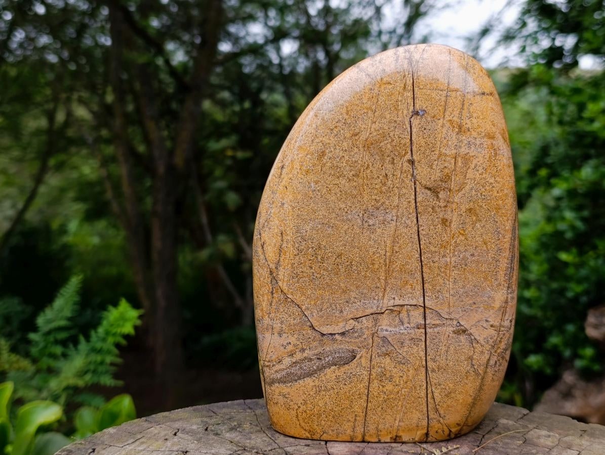 Polished Large Picture Stone Jasper Standing Display Piece x 1 From Ais-Ais, Namibia - Toprock Gemstones and Minerals 
