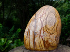 Polished Large Picture Stone Jasper Standing Display Piece x 1 From Ais-Ais, Namibia - Toprock Gemstones and Minerals 