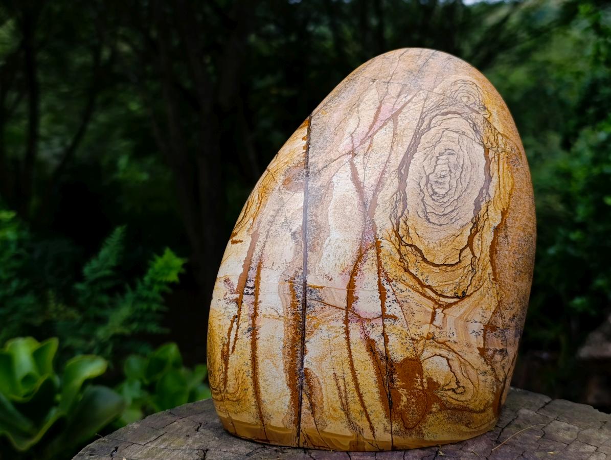 Polished Large Picture Stone Jasper Standing Display Piece x 1 From Ais-Ais, Namibia - Toprock Gemstones and Minerals 