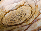 Polished Large Picture Stone Jasper Standing Display Piece x 1 From Ais-Ais, Namibia - Toprock Gemstones and Minerals 