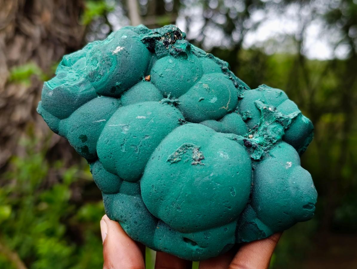 Natural Botryoidal Malachite Specimens x 2 From Congo