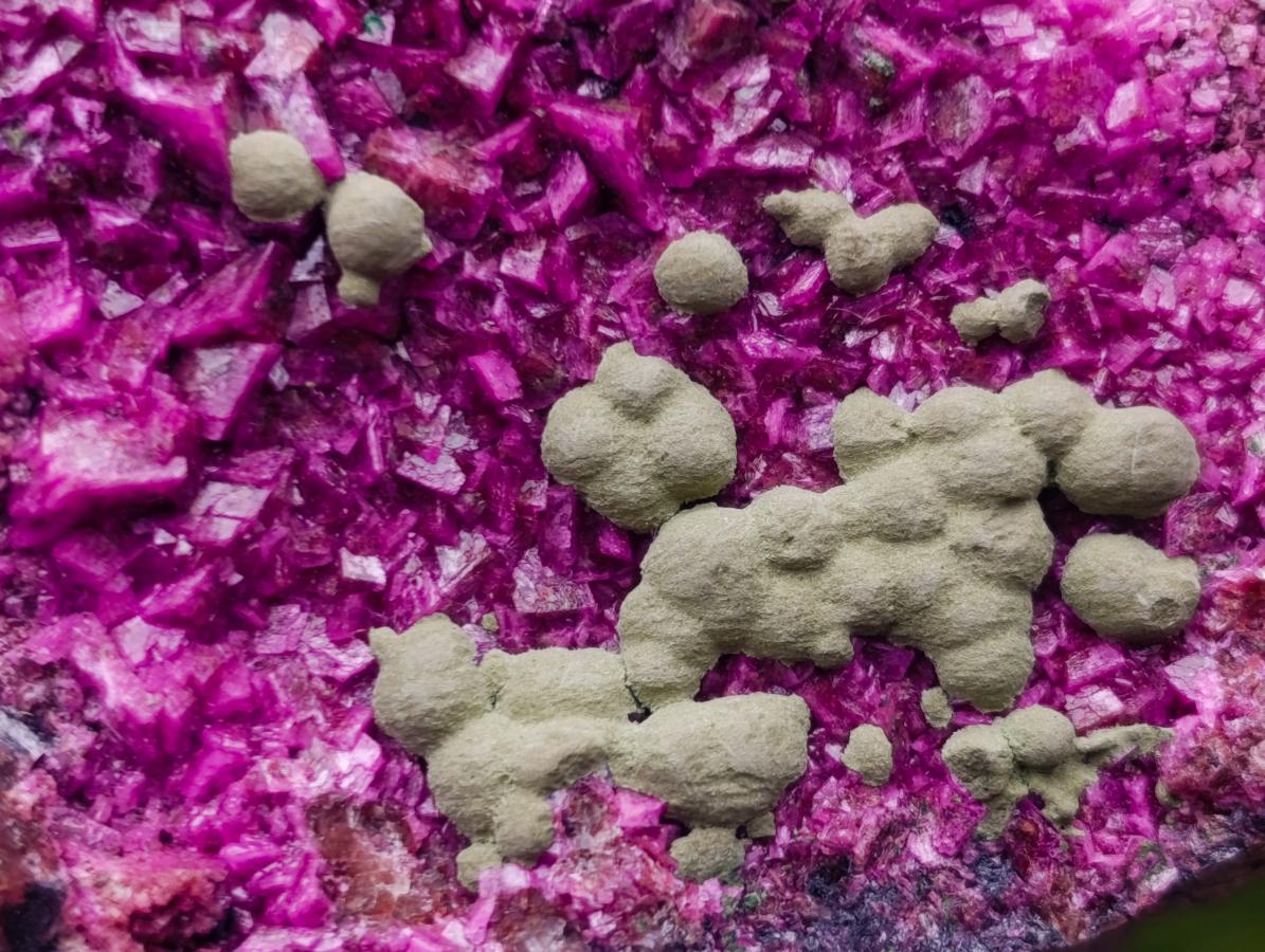 Natural Salrose Cobaltoan Dolomite Specimens x 6 From Kakanda, Congo