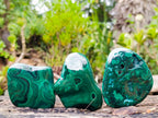 Polished Flower Banded Malachite Free Forms x 12 From Congo - Toprock Gemstones and Minerals 