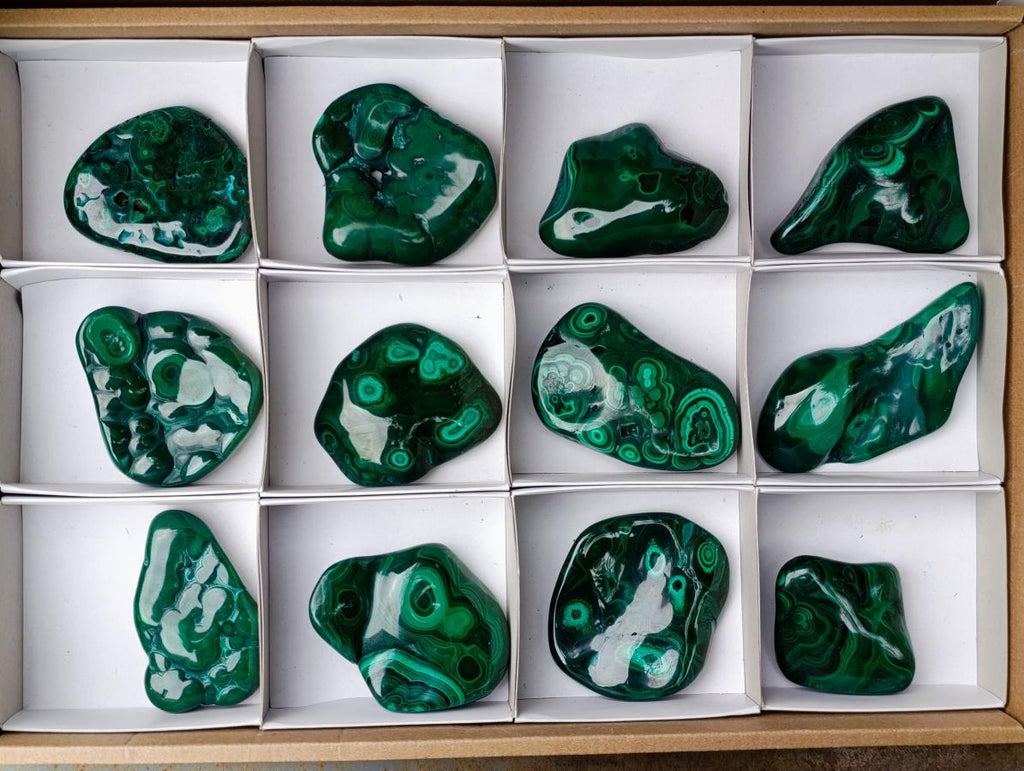 Polished Flower Banded Malachite Free Forms x 12 From Congo - Toprock Gemstones and Minerals 