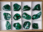 Polished Flower Banded Malachite Free Forms x 12 From Congo - Toprock Gemstones and Minerals 