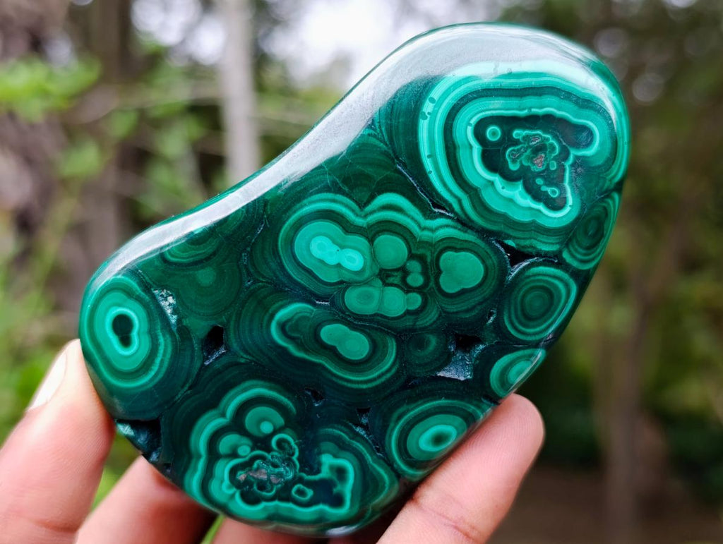 Polished Flower Banded Malachite Free Forms x 12 From Congo - Toprock Gemstones and Minerals 