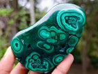 Polished Flower Banded Malachite Free Forms x 12 From Congo - Toprock Gemstones and Minerals 