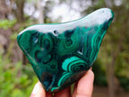 Polished Flower Banded Malachite Free Forms x 12 From Congo - Toprock Gemstones and Minerals 