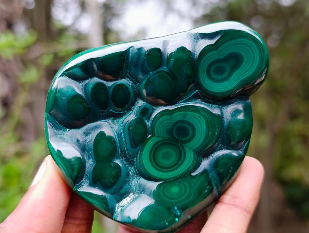 Polished Flower Banded Malachite Free Forms x 12 From Congo - Toprock Gemstones and Minerals 