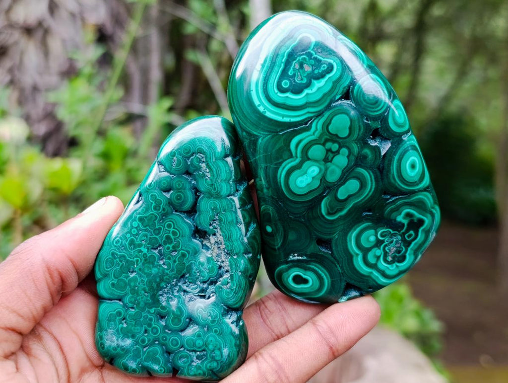 Polished Flower Banded Malachite Free Forms x 12 From Congo - Toprock Gemstones and Minerals 