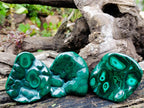 Polished Flower Banded Malachite Free Forms x 12 From Congo - Toprock Gemstones and Minerals 