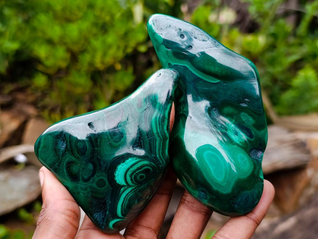 Polished Flower Banded Malachite Free Forms x 12 From Congo - Toprock Gemstones and Minerals 