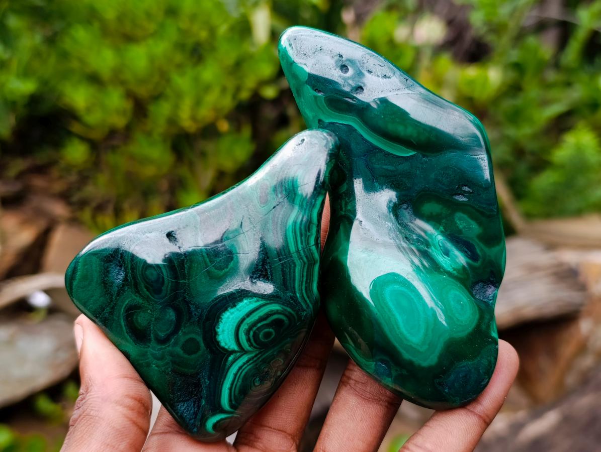 Polished Flower Banded Malachite Free Forms x 12 From Congo - Toprock Gemstones and Minerals 