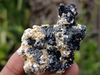Natural Schorl Black Tourmaline with Associated Minerals x 13 From Erongo, Namibia - Toprock Gemstones and Minerals 