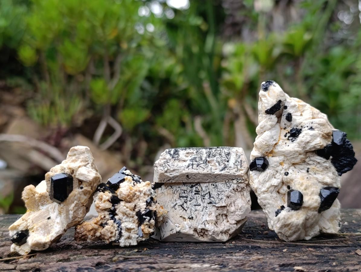 Natural Schorl Black Tourmaline with Associated Minerals x 13 From Erongo, Namibia - Toprock Gemstones and Minerals 