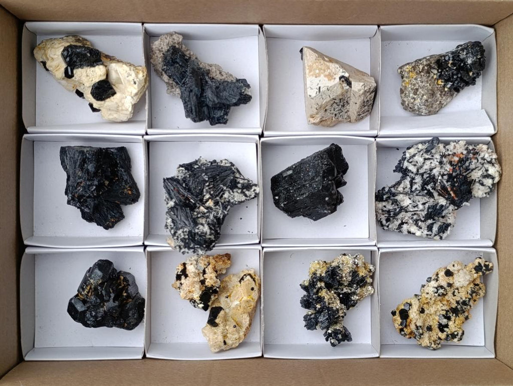 Natural Schorl Black Tourmaline with Associated Minerals x 13 From Erongo, Namibia - Toprock Gemstones and Minerals 
