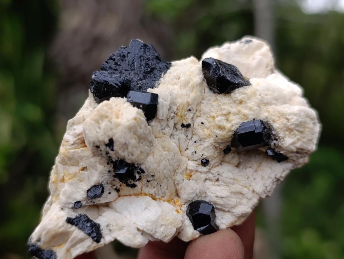 Natural Schorl Black Tourmaline with Associated Minerals x 13 From Erongo, Namibia - Toprock Gemstones and Minerals 