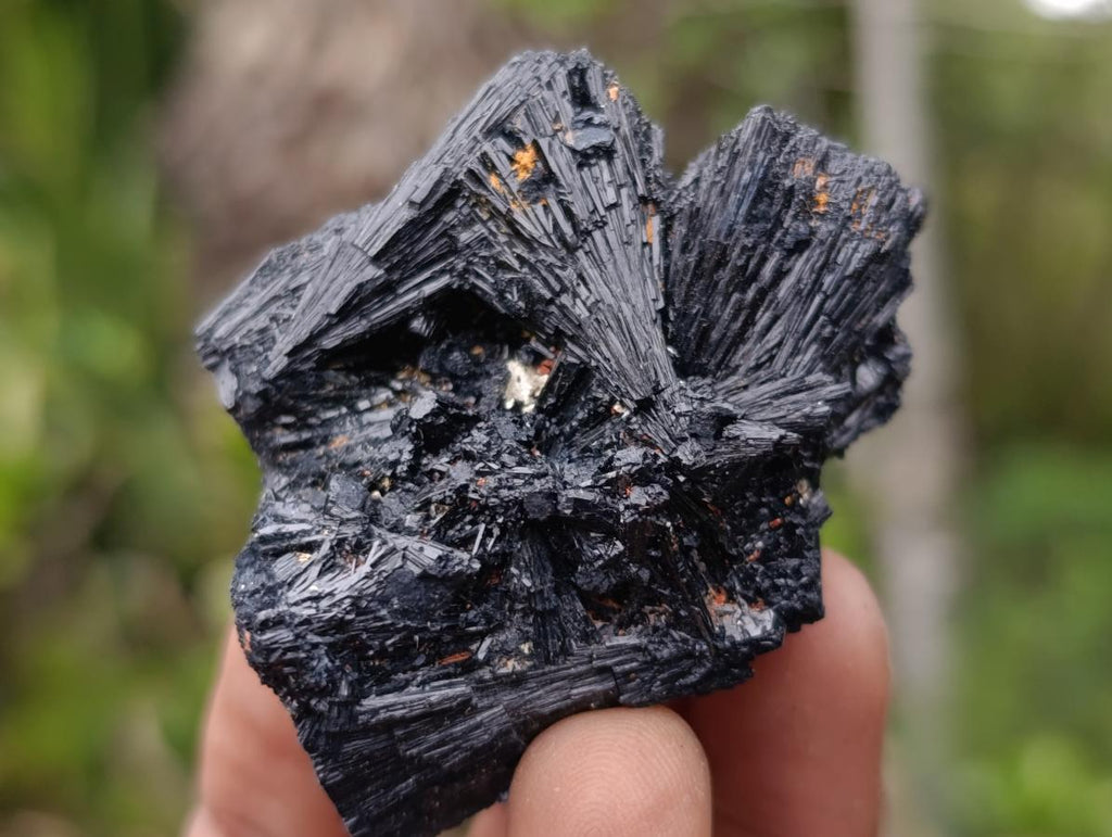 Natural Schorl Black Tourmaline with Associated Minerals x 13 From Erongo, Namibia - Toprock Gemstones and Minerals 