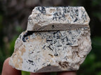 Natural Schorl Black Tourmaline with Associated Minerals x 13 From Erongo, Namibia - Toprock Gemstones and Minerals 