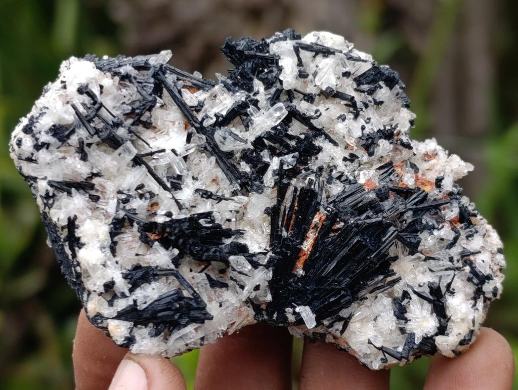 Natural Schorl Black Tourmaline with Associated Minerals x 13 From Erongo, Namibia - Toprock Gemstones and Minerals 