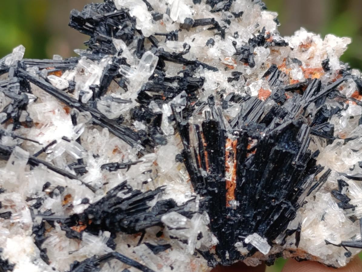 Natural Schorl Black Tourmaline with Associated Minerals x 13 From Erongo, Namibia - Toprock Gemstones and Minerals 