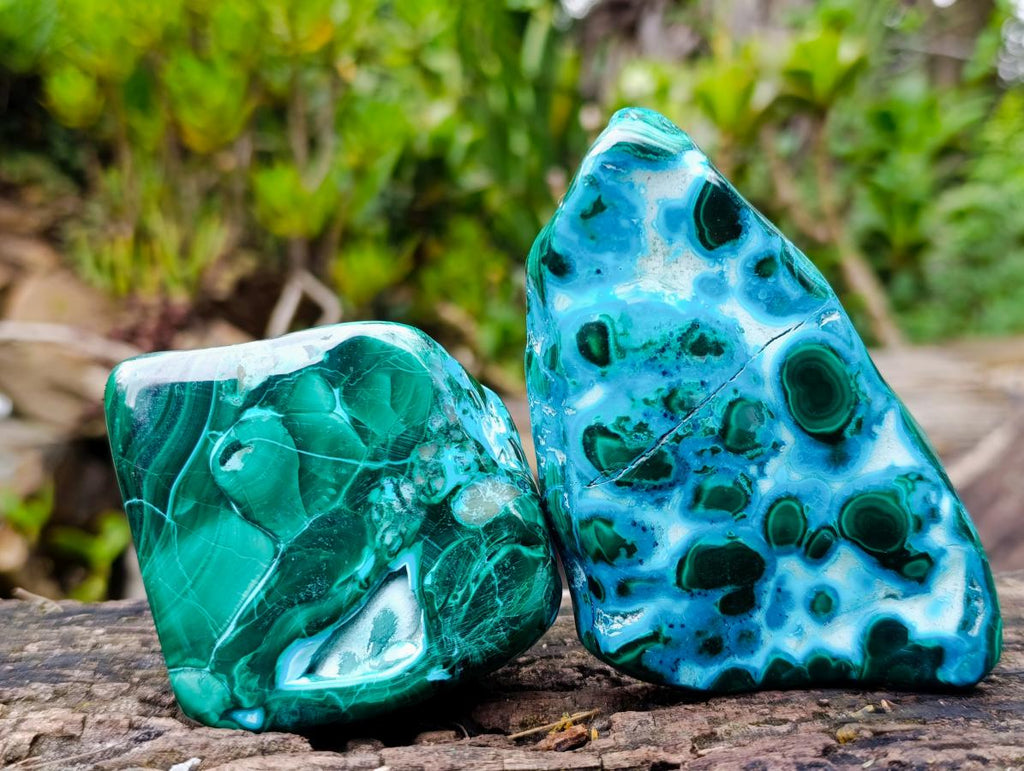 Polished Malacolla Free Forms x 6 From Kulukuluku, Congo - Toprock Gemstones and Minerals 