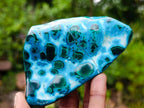 Polished Malacolla Free Forms x 6 From Kulukuluku, Congo - Toprock Gemstones and Minerals 