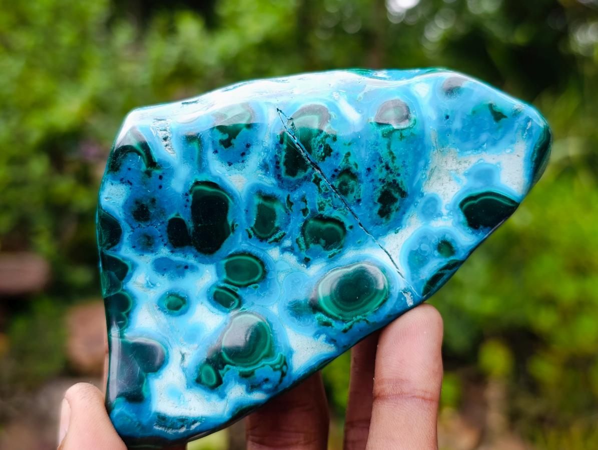 Polished Malacolla Free Forms x 6 From Kulukuluku, Congo - Toprock Gemstones and Minerals 