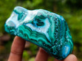 Polished Malacolla Free Forms x 6 From Kulukuluku, Congo - Toprock Gemstones and Minerals 