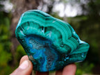 Polished Malacolla Free Forms x 6 From Kulukuluku, Congo - Toprock Gemstones and Minerals 