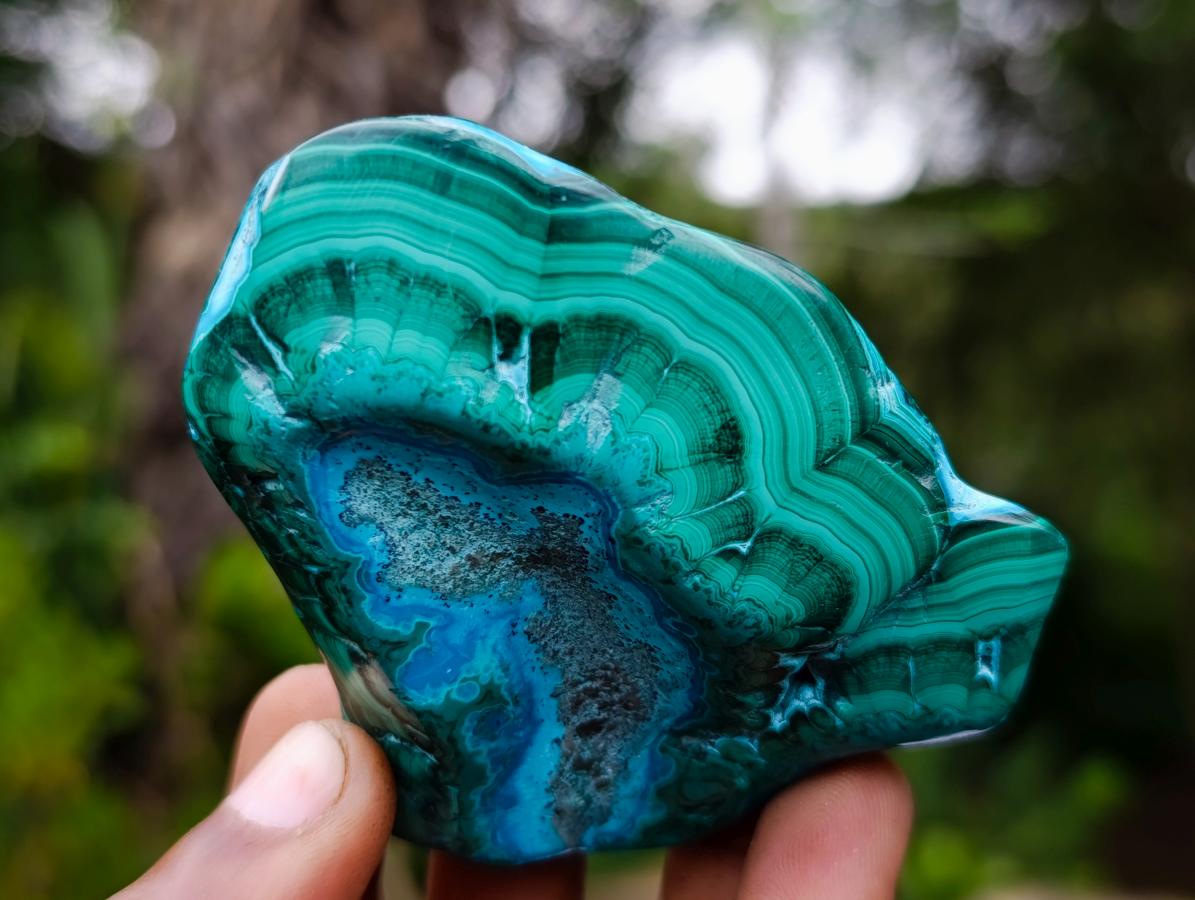 Polished Malacolla Free Forms x 6 From Kulukuluku, Congo - Toprock Gemstones and Minerals 