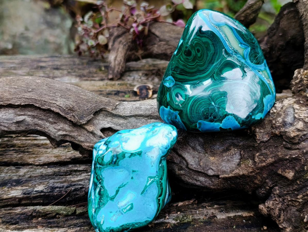 Polished Malacolla Free Forms x 6 From Kulukuluku, Congo - Toprock Gemstones and Minerals 