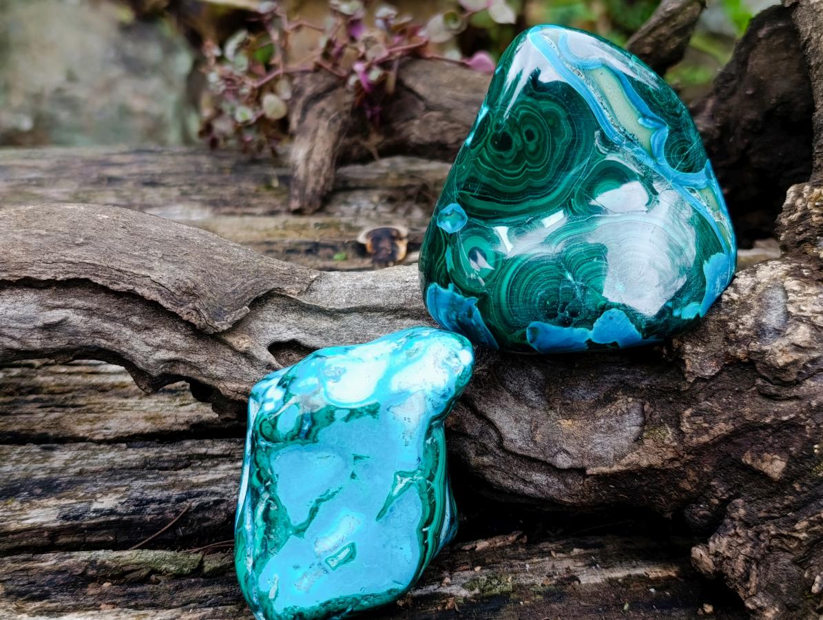 Polished Malacolla Free Forms x 6 From Kulukuluku, Congo - Toprock Gemstones and Minerals 