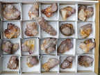 Natural Smokey Spirit Quartz Crystals and Clusters x 20 From Boekenhouthoek, South Africa - Toprock Gemstones and Minerals 