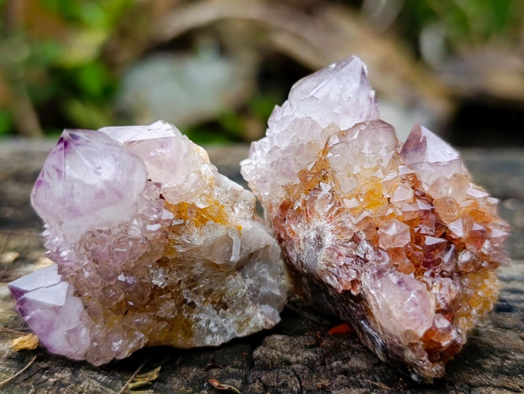 Natural Smokey Spirit Quartz Crystals and Clusters x 20 From Boekenhouthoek, South Africa - Toprock Gemstones and Minerals 